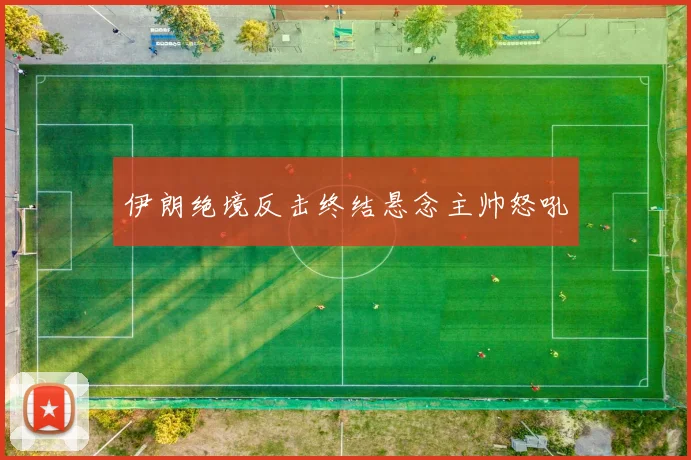 伊朗绝境反击终结悬念主帅怒吼