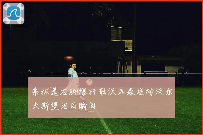 弗林蓬右脚爆杆勒沃库森逆转沃尔夫斯堡泪目瞬间