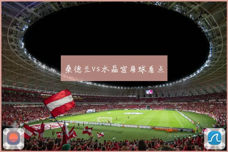 桑德兰vs水晶宫角球看点