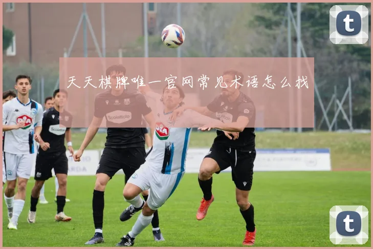 天天棋牌唯一官网常见术语怎么找