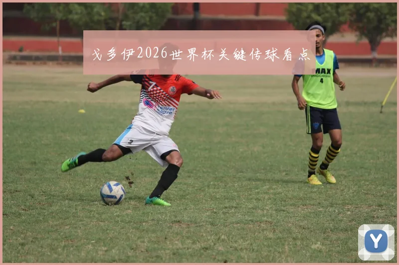 戈多伊2026世界杯关键传球看点