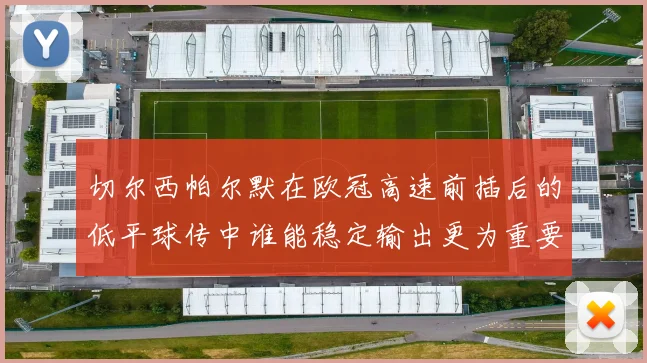 切尔西帕尔默在欧冠高速前插后的低平球传中谁能稳定输出更为重要